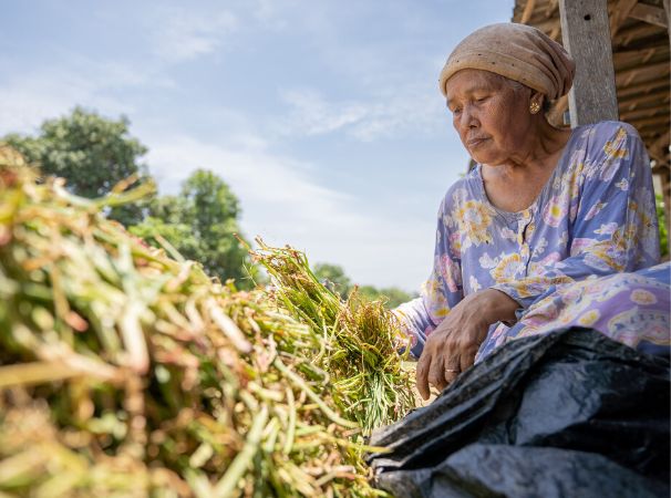 Indico Telkomsel Agritech